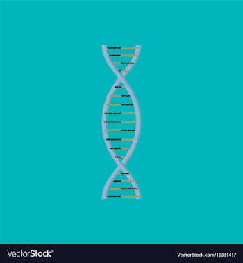 Flat shading style icon dna vector image