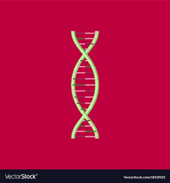 Flat shading style icon dna vector image