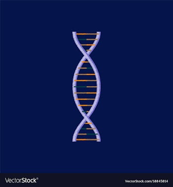 Flat shading style icon dna vector image