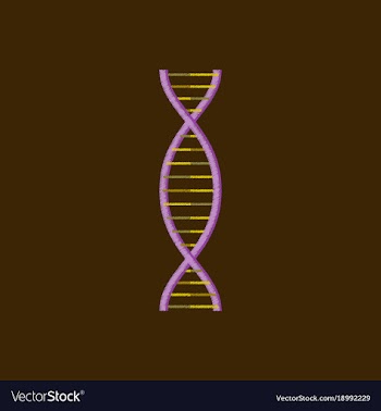 Flat shading style icon dna vector image