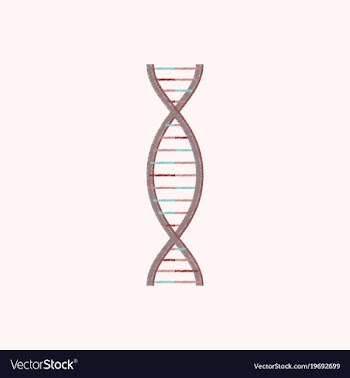 Flat shading style icon dna vector image
