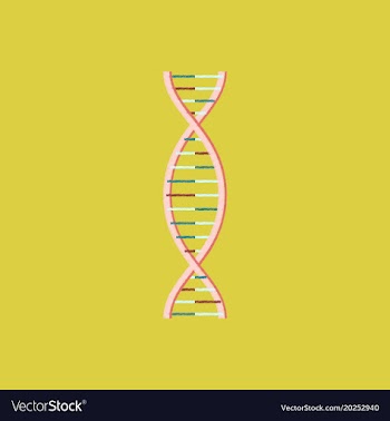 Flat shading style icon dna vector image