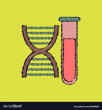 Flat shading style icon dna with test tube vector image