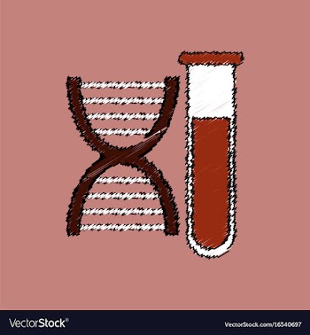 Flat shading style icon dna with test tube vector image