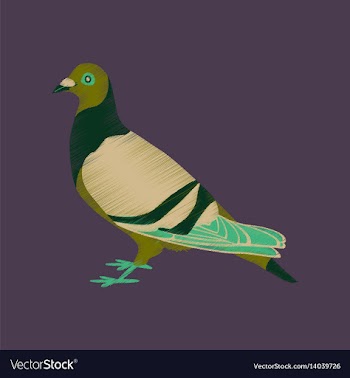 Flat shading style icon dove vector image