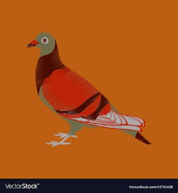 Flat shading style icon dove vector image