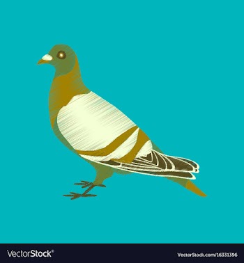 Flat shading style icon dove vector image