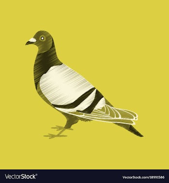 Flat shading style icon dove vector image