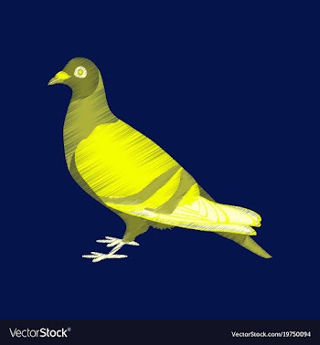 Flat shading style icon dove vector image