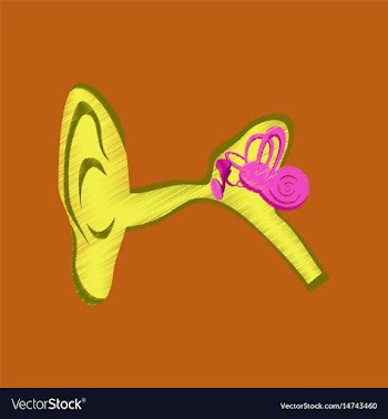 Flat shading style icon ear vector image