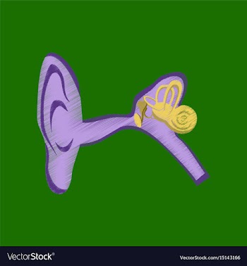 Flat shading style icon ear vector image