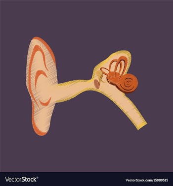 Flat shading style icon ear vector image