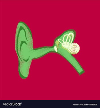 Flat shading style icon ear vector image