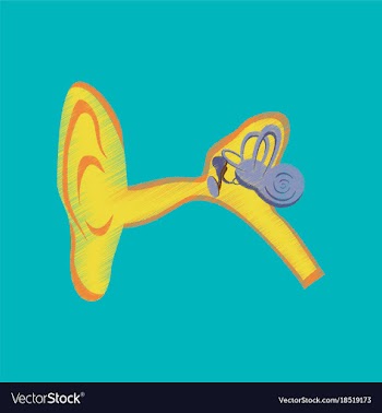 Flat shading style icon ear vector image