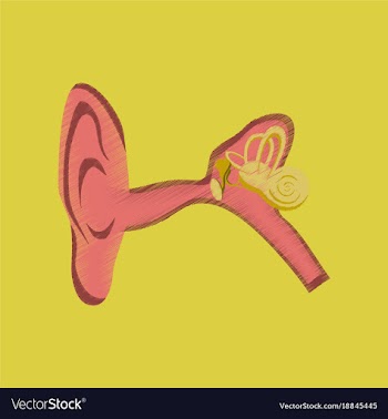 Flat shading style icon ear vector image