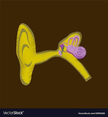 Flat shading style icon ear vector image