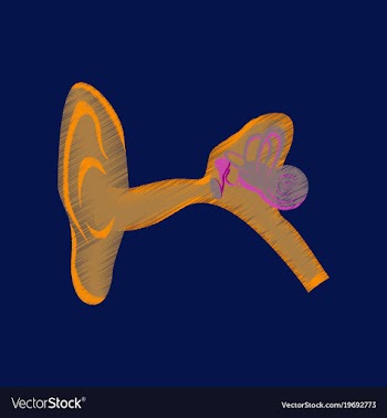 Flat shading style icon ear vector image