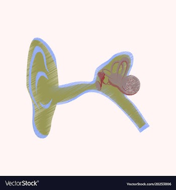 Flat shading style icon ear vector image