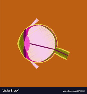 Flat shading style icon eye vector image