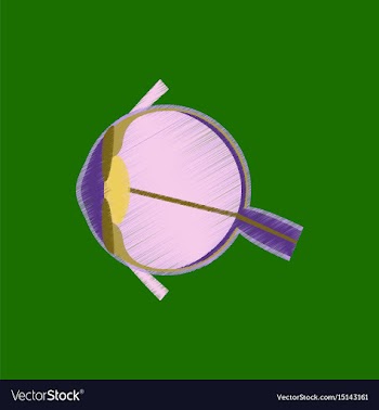 Flat shading style icon eye vector image