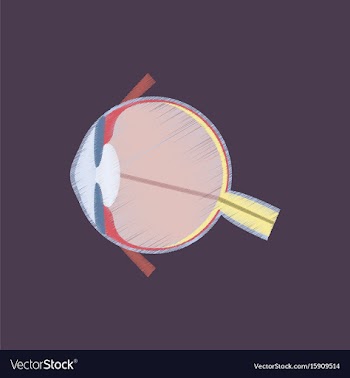 Flat shading style icon eye vector image