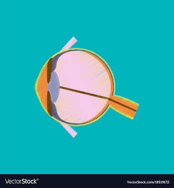 Flat shading style icon eye vector image