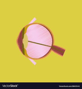 Flat shading style icon eye vector image