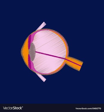 Flat shading style icon eye vector image
