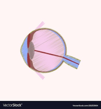 Flat shading style icon eye vector image