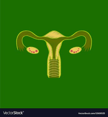 Flat shading style icon female reproductive system vector image