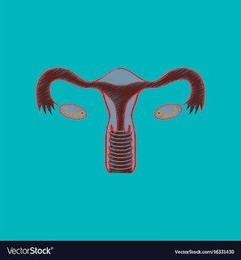 Flat shading style icon female reproductive system vector image