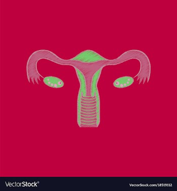 Flat shading style icon female reproductive system vector image