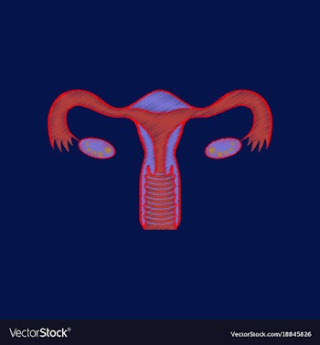 Flat shading style icon female reproductive system vector image