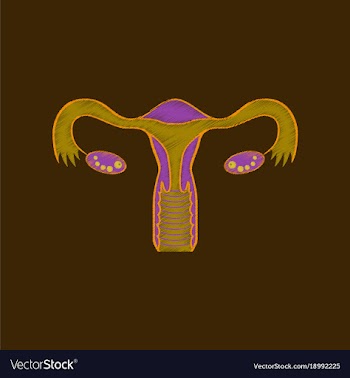 Flat shading style icon female reproductive system vector image