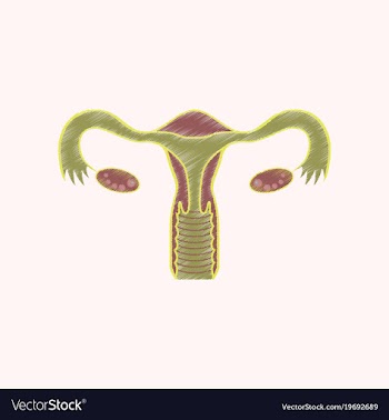 Flat shading style icon female reproductive system vector image