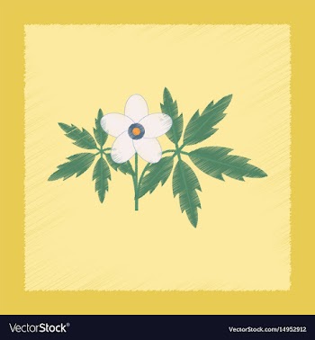 Flat shading style icon flower anemone vector image