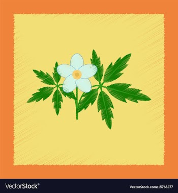 Flat shading style icon flower anemone vector image
