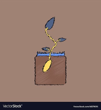 Flat shading style icon flower buds vector image