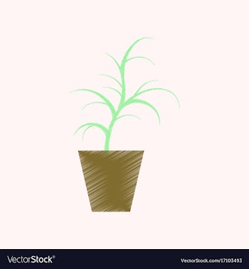 Flat shading style icon flower in pot aloe vector image