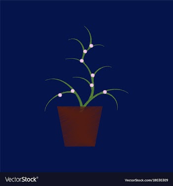 Flat shading style icon flower in pot aloe vector image