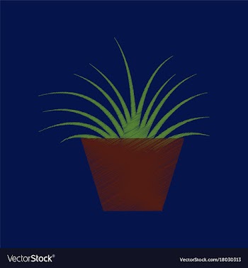 Flat shading style icon flower in pot aloe vector image