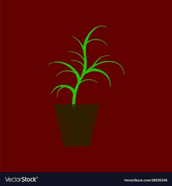 Flat shading style icon flower in pot aloe vector image