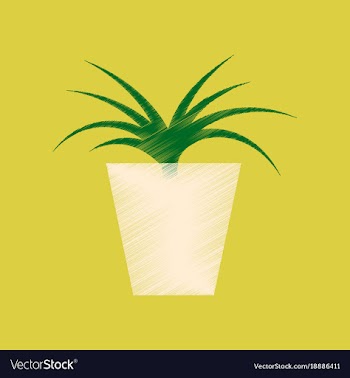 Flat shading style icon flower in pot aloe vector image