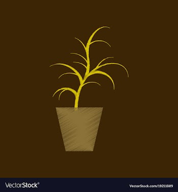 Flat shading style icon flower in pot aloe vector image
