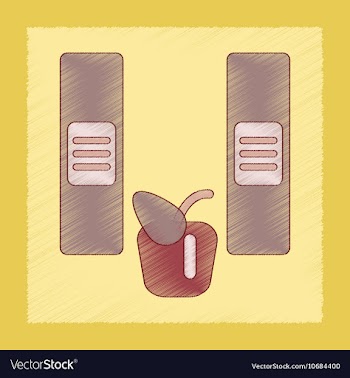 Flat shading style icon folders apple vector image