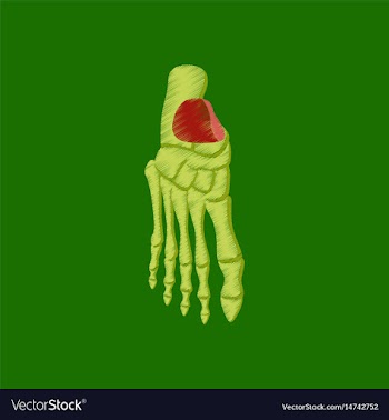 Flat shading style icon foot skeleton vector image