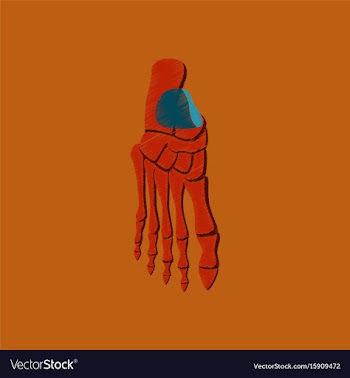 Flat shading style icon foot skeleton vector image