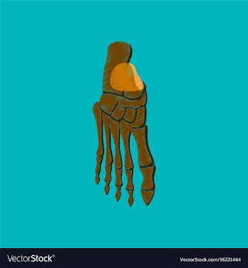 Flat shading style icon foot skeleton vector image