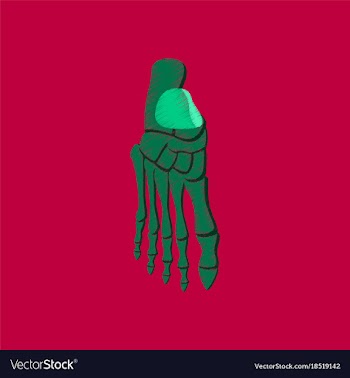 Flat shading style icon foot skeleton vector image