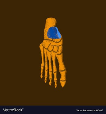 Flat shading style icon foot skeleton vector image